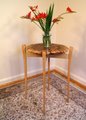 Long Axis View In Corner With Flowers